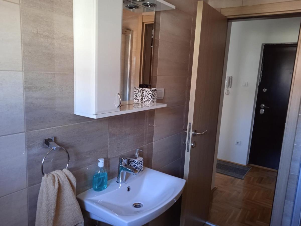 Apartment Srebrni Oblak Arandjelovac Εξωτερικό φωτογραφία