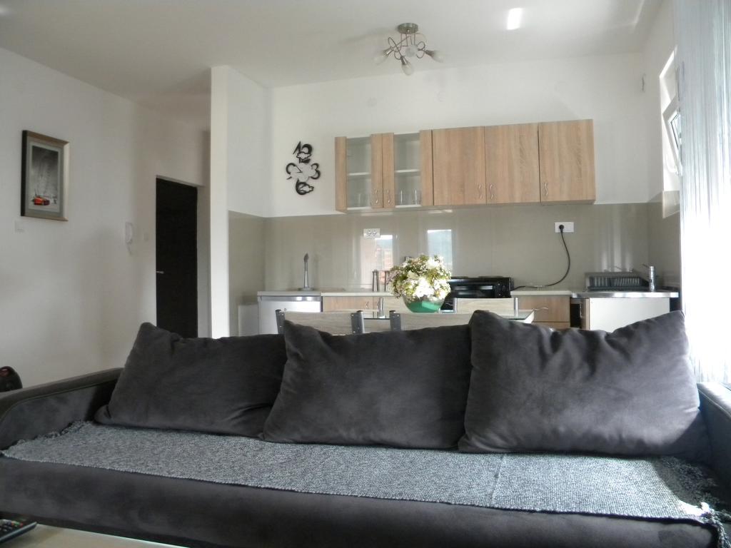 Apartment Srebrni Oblak Arandjelovac Εξωτερικό φωτογραφία