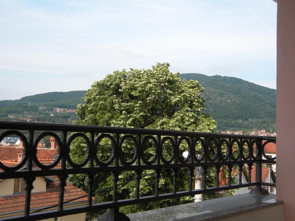 Apartment Srebrni Oblak Arandjelovac Εξωτερικό φωτογραφία